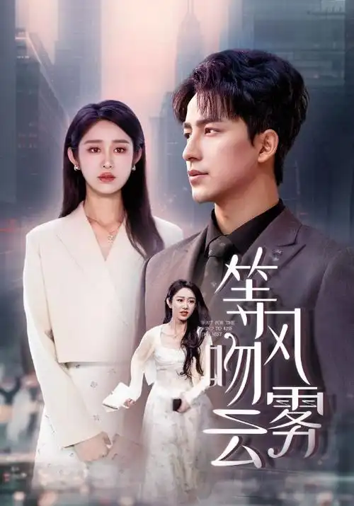 长夜执灯人 剧集海报